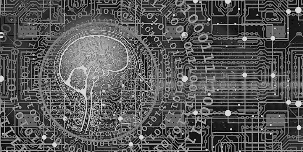 humanizacion medallia